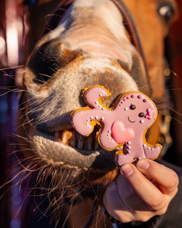 Candy Horse ciasteczko "Walentynki 2026", ośmiorniczka 24h