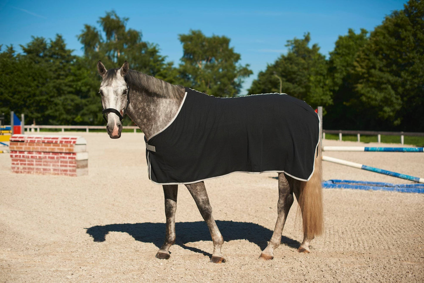 Covalliero derka dla konia RugBe Economic