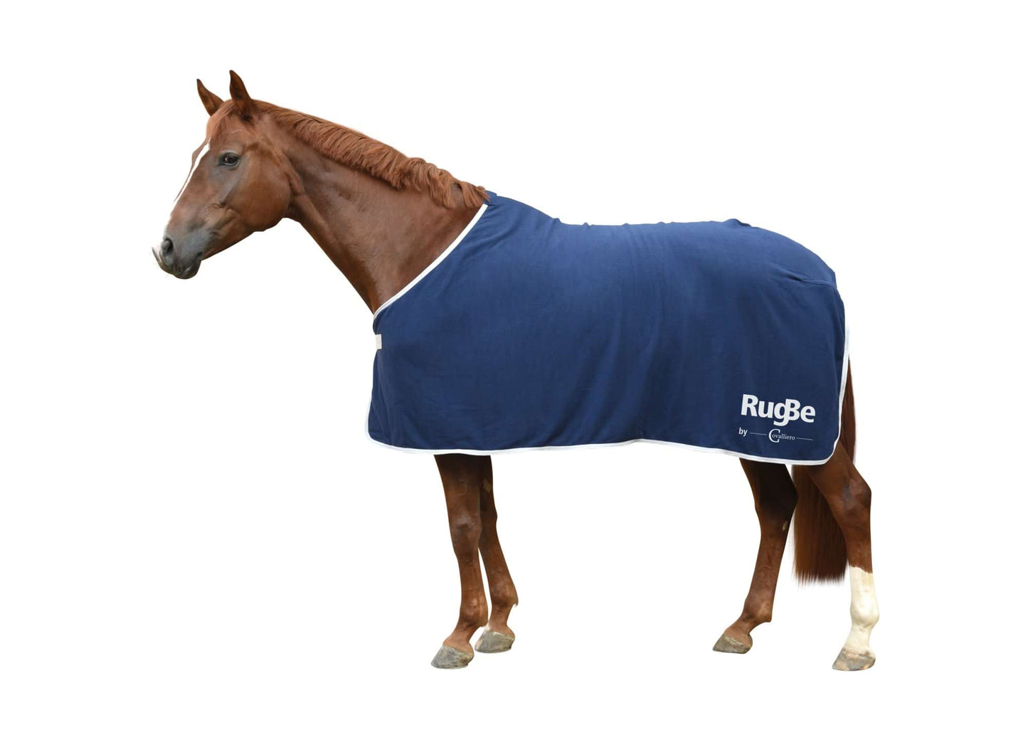 Covalliero derka dla konia RugBe Economic
