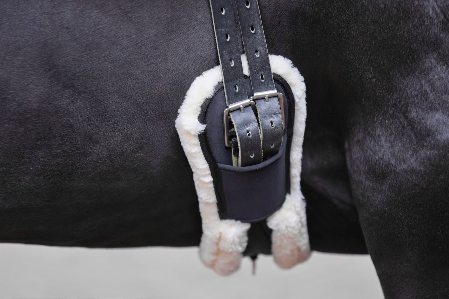 Covalliero popręg ujeżdżeniowy, ze sztucznym futrem, czarny