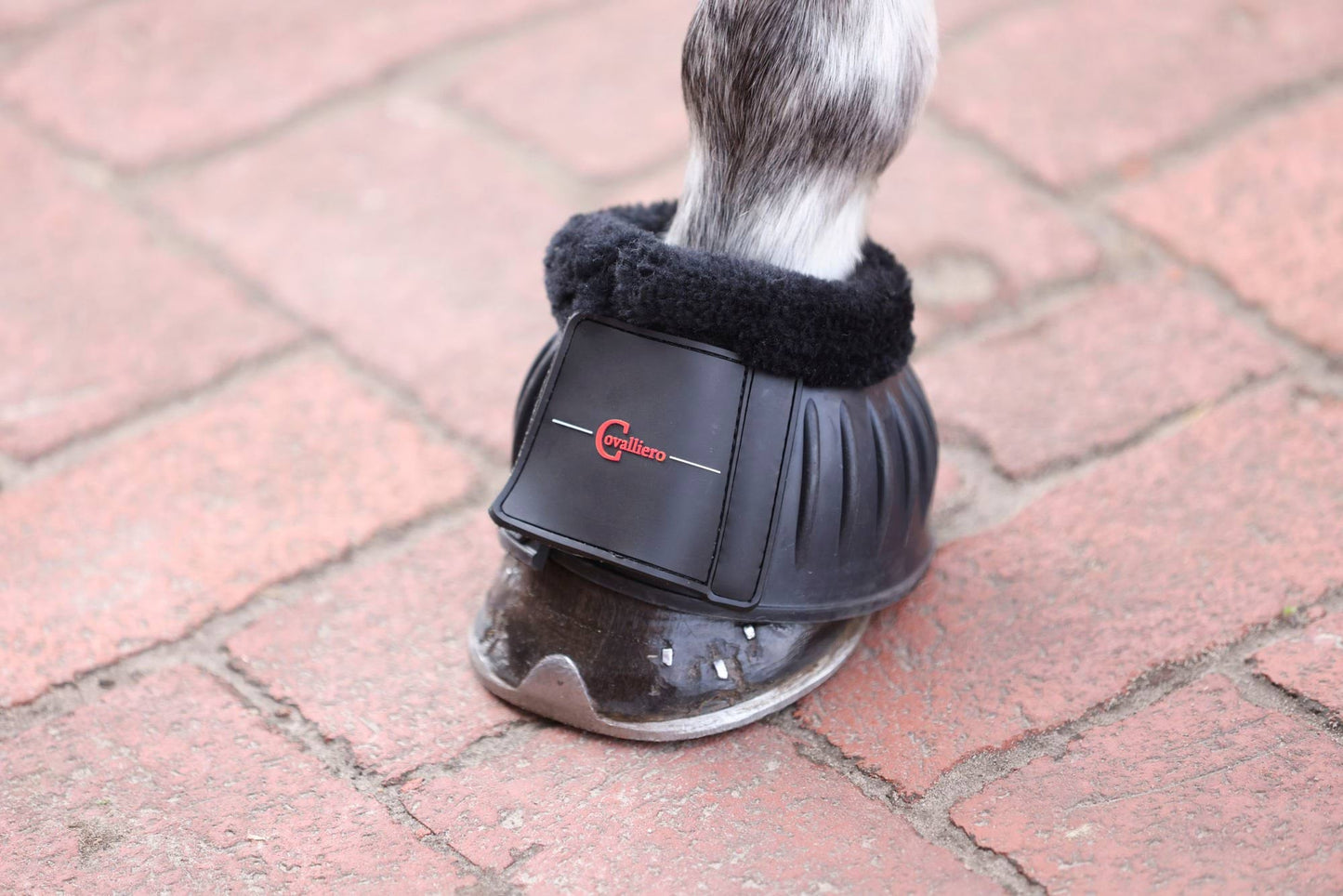 Covalliero kaloszki gumowe Teddy Fleece czarny