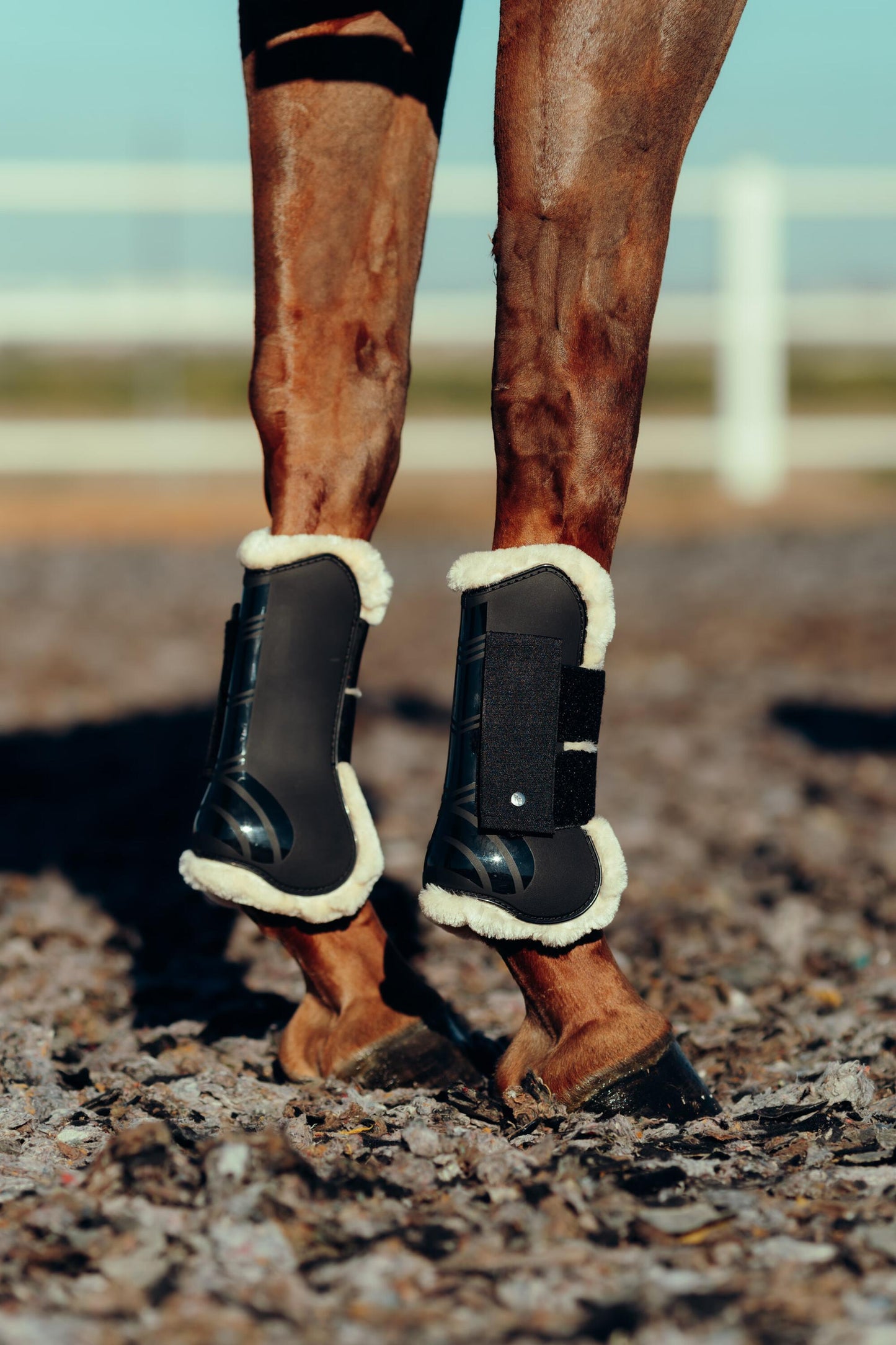 Horze ochraniacze Caliber Tendon ze sztucznym futrem Black 24h