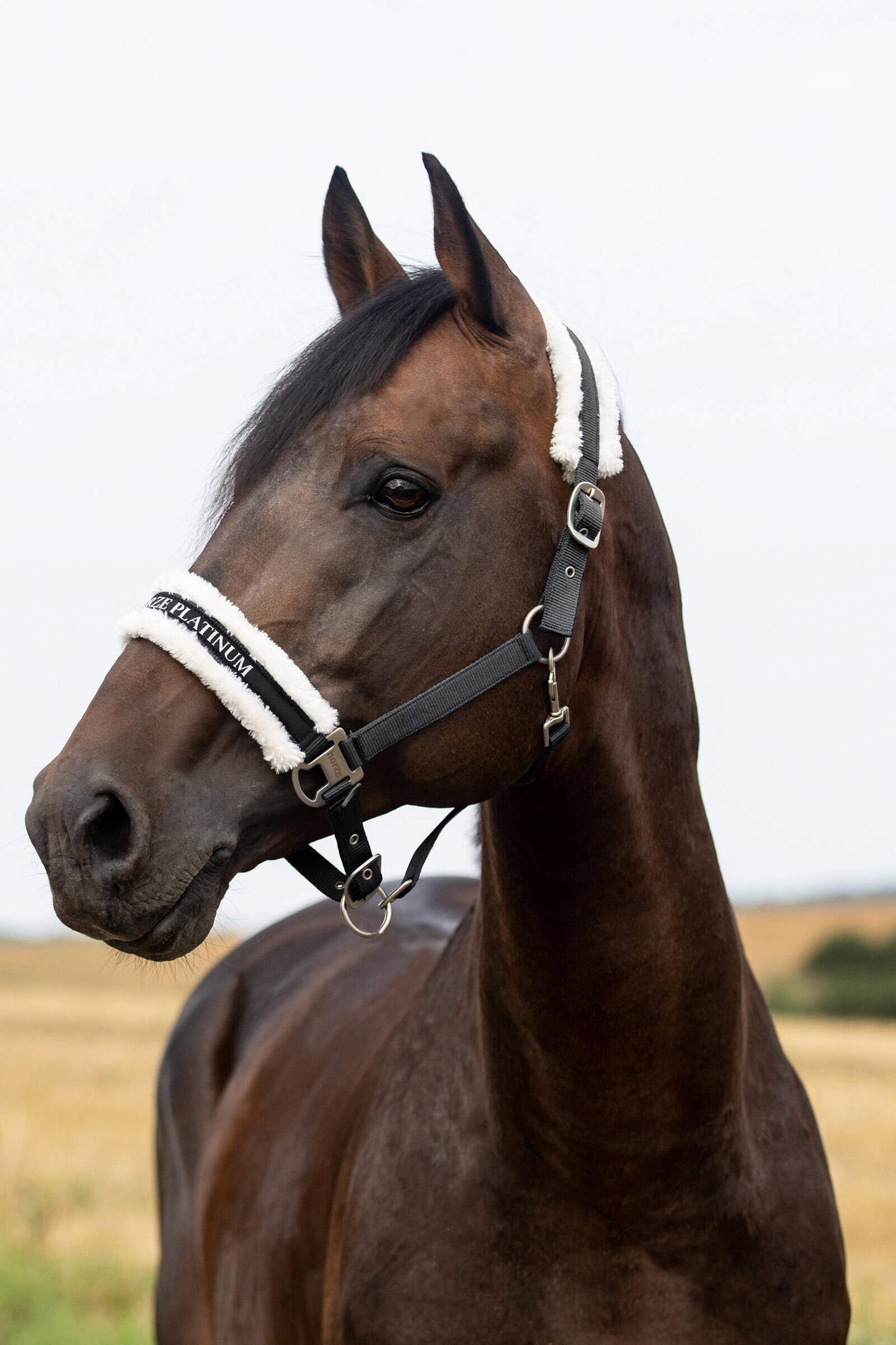 Horze kantar Howard, czarny 24h