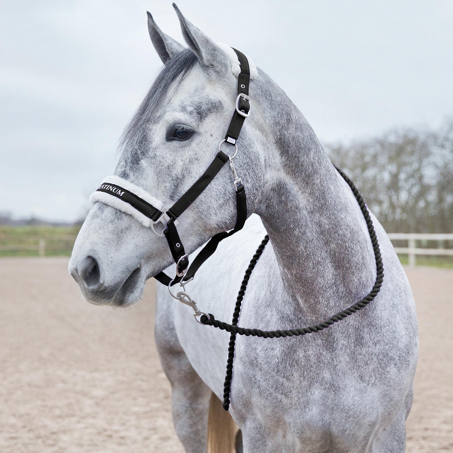 Horze uwiąz Howard Soft Black 24h