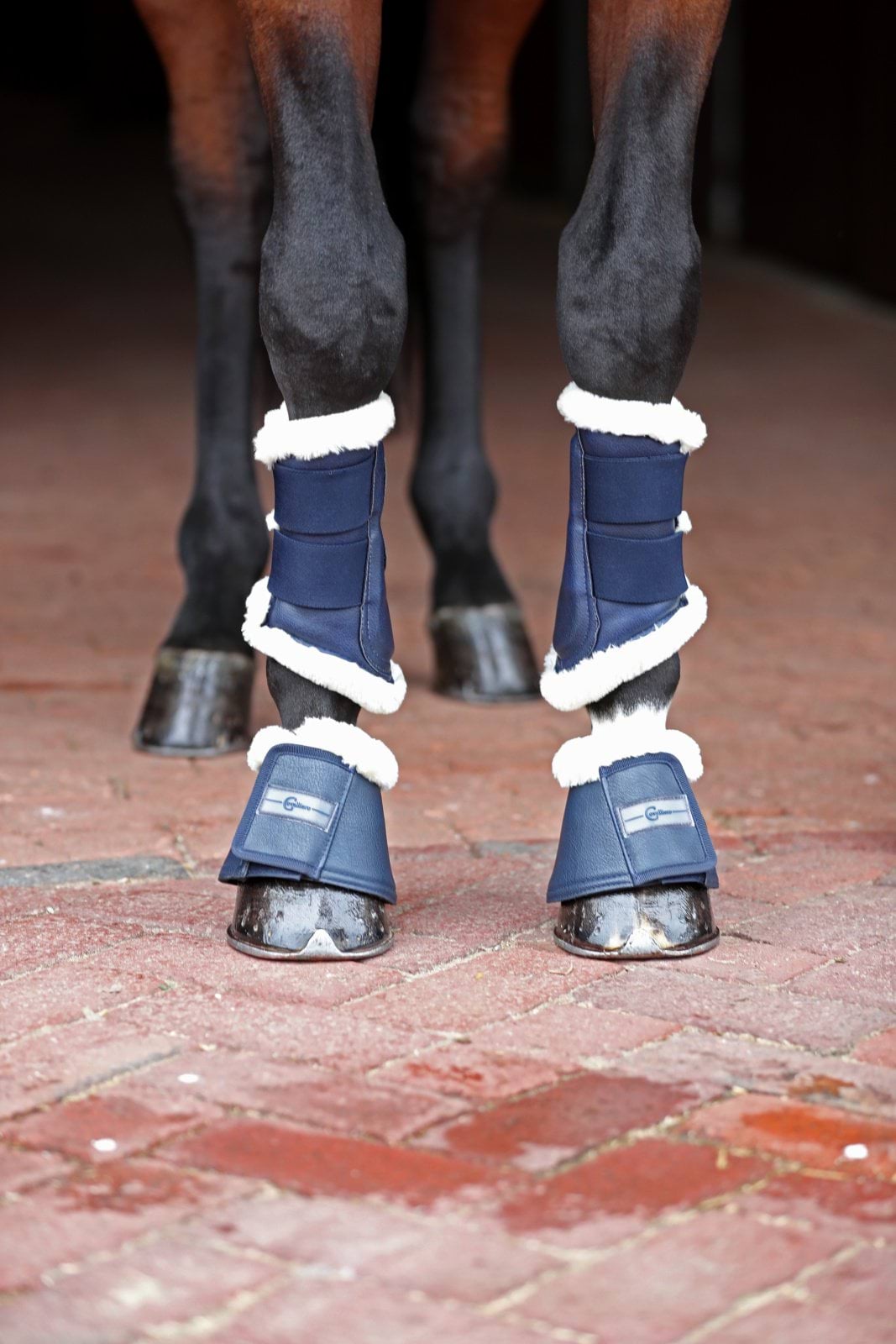 Covalliero kaloszki dla konia Pelisa granatowe 24h