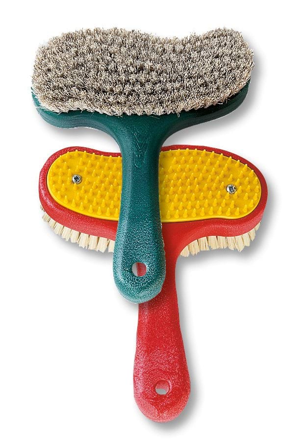 Haas Szczotka dla konia Putzi, dwustronna