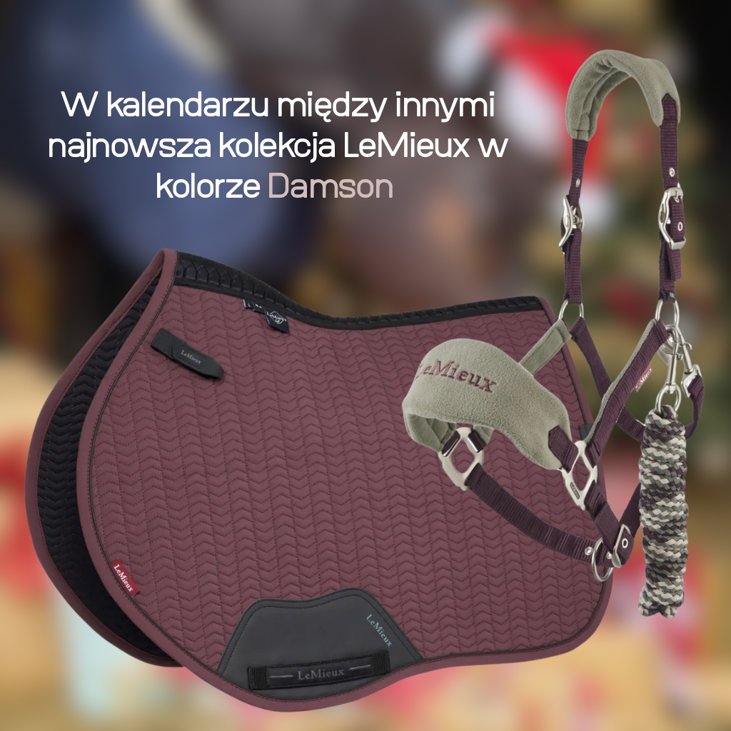 Kalendarz adwentowy Premium, 24 okienka - edycja limitowana 48h