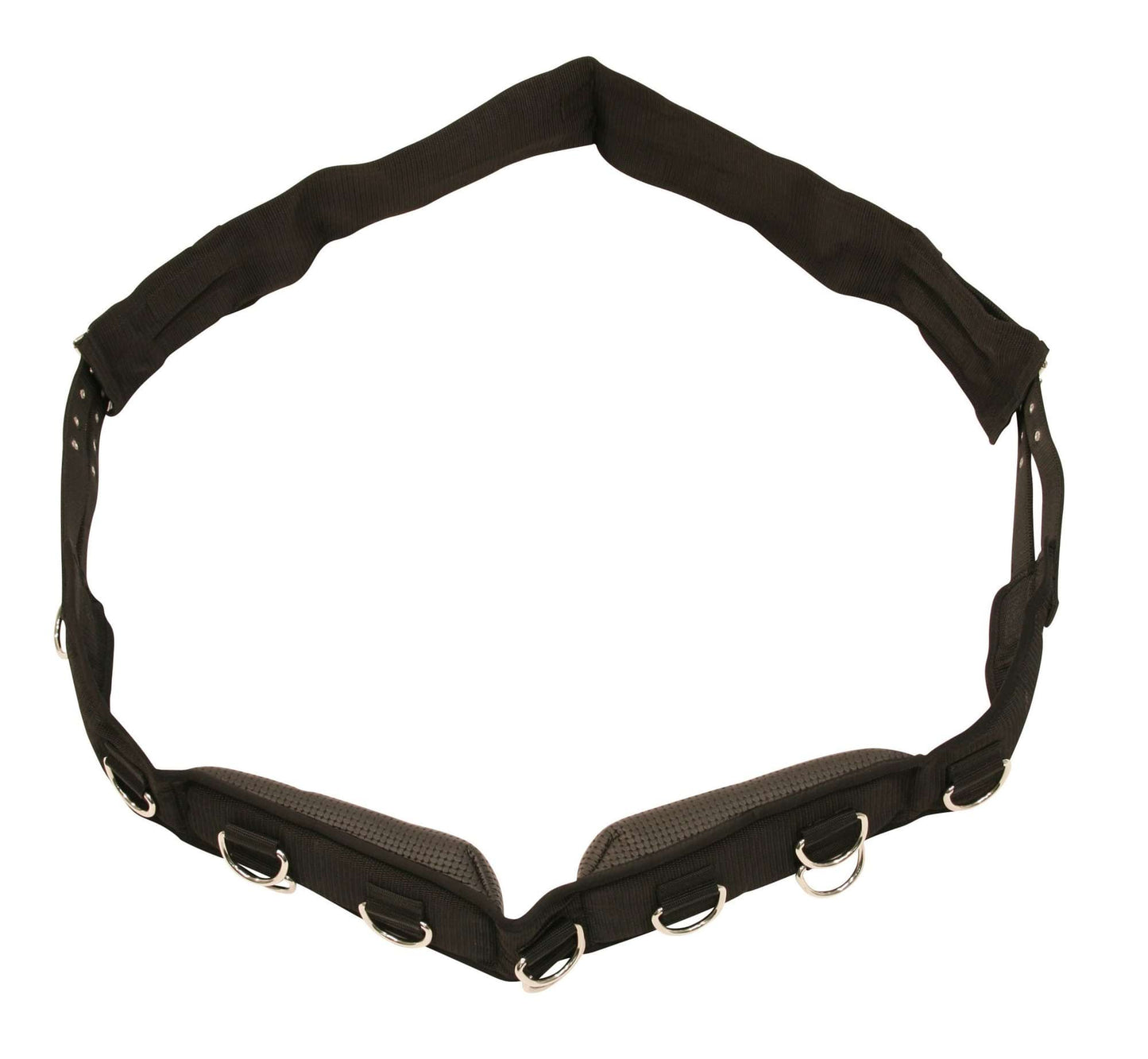 Covalliero pas do lonżowania