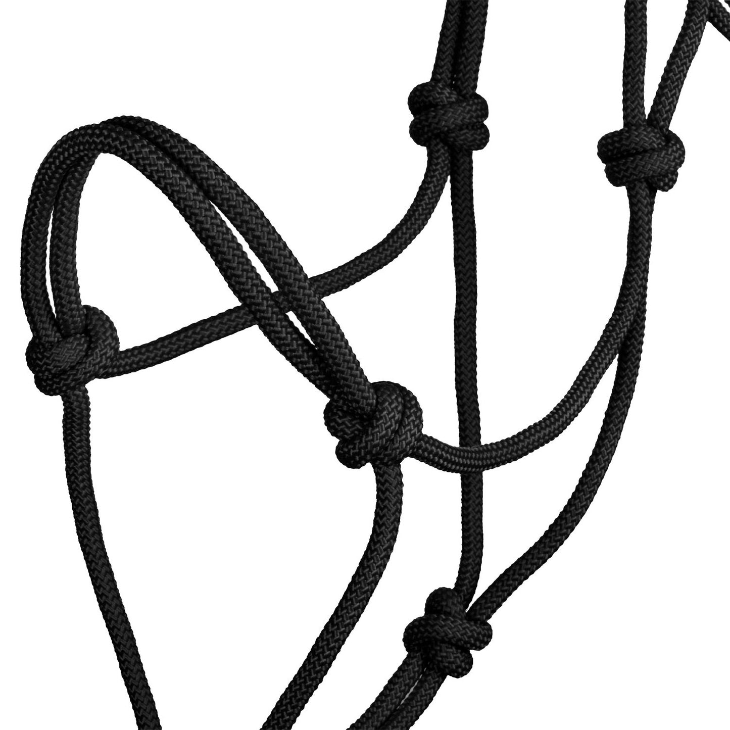 Pool's halter Knot, czarny 24h