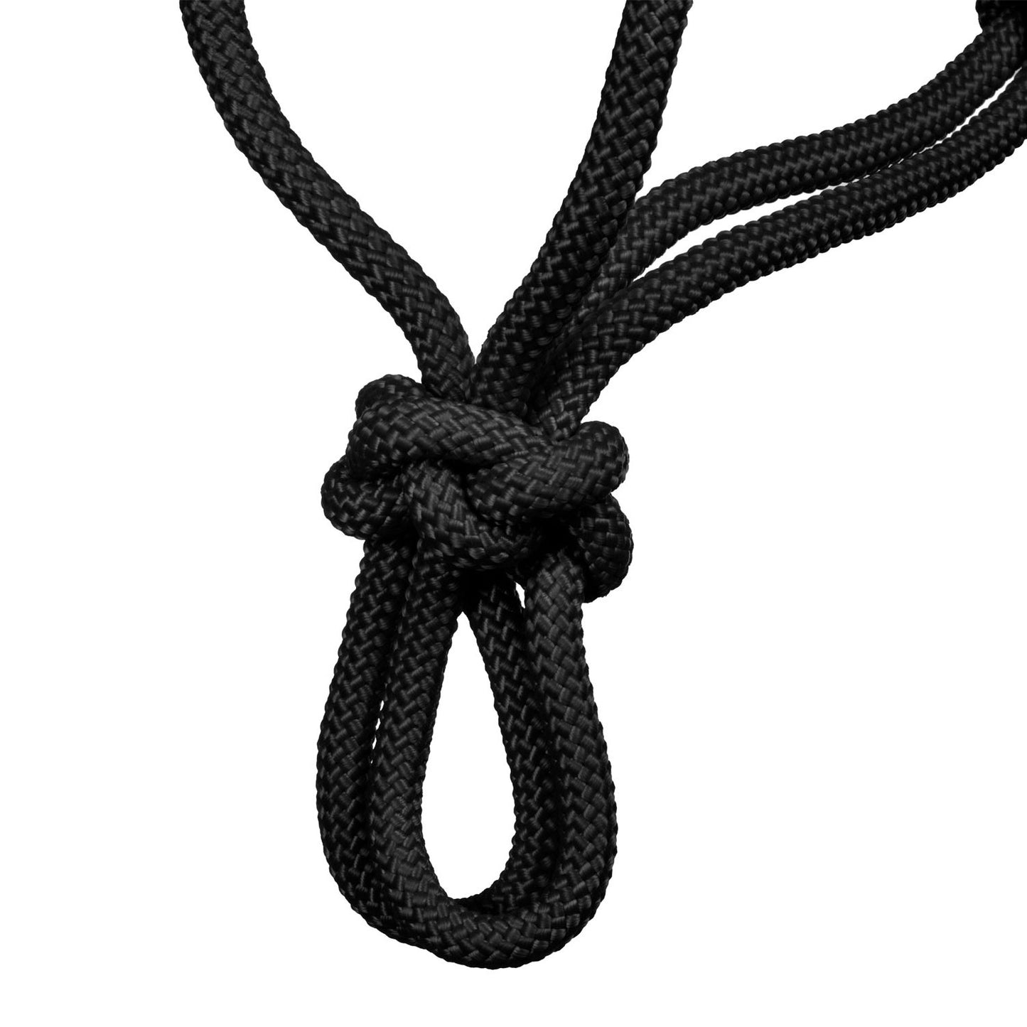 Pool's halter Knot, czarny 24h