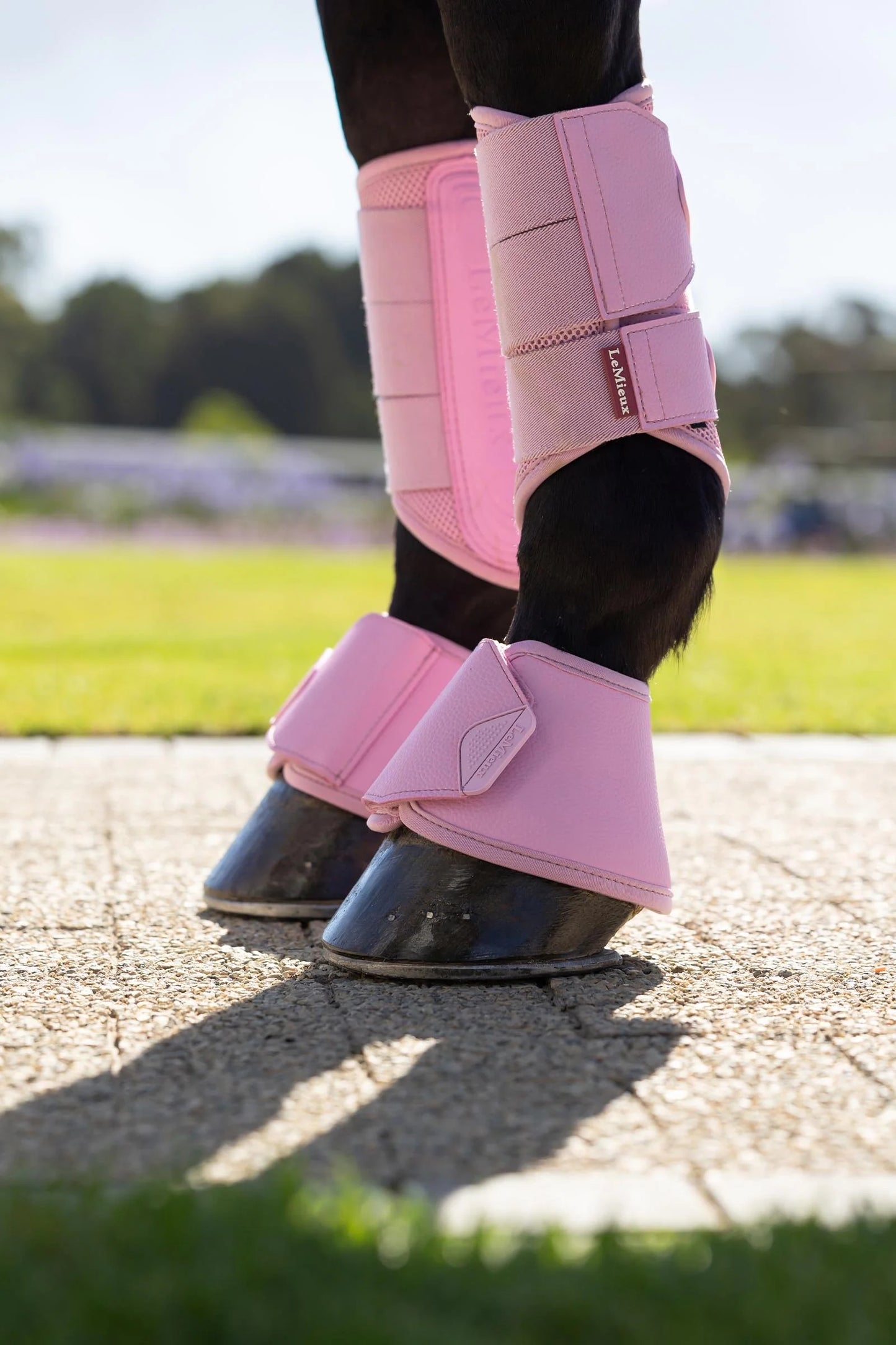 LeMieux kaloszki "Arika Over Reach Boots", Fondant 24h