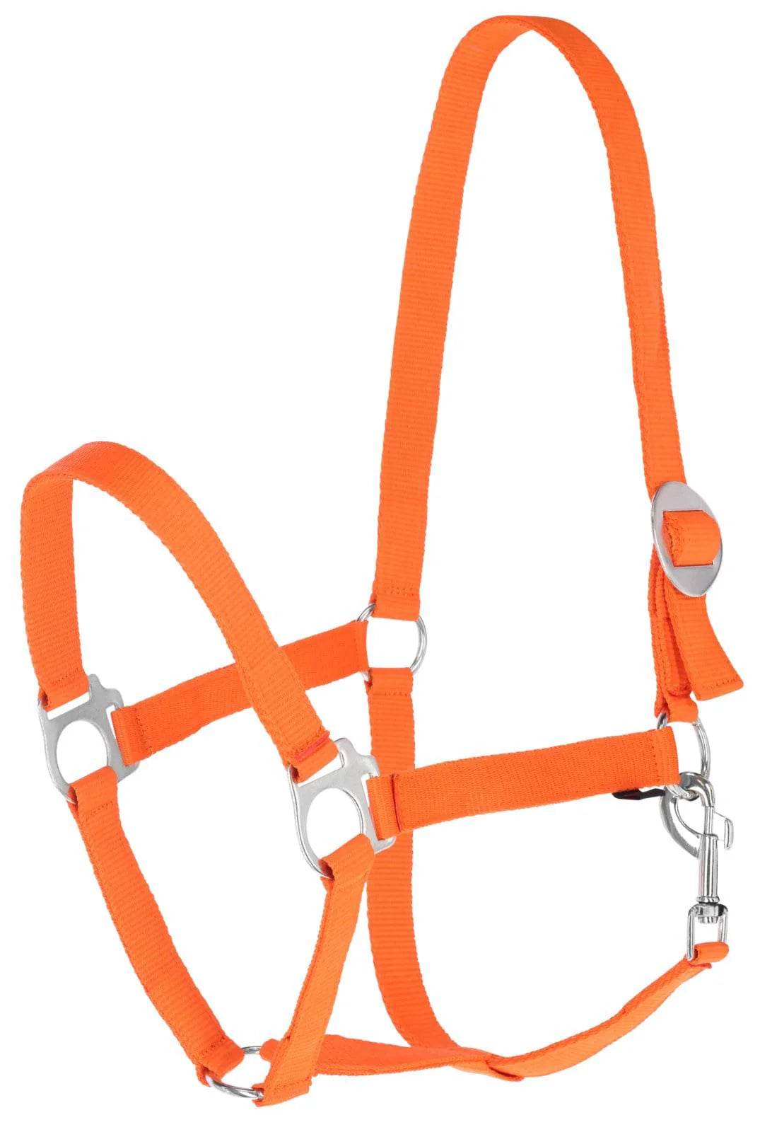 Zestaw nr 17 - kantar, uwiąz, kaloszki 24h