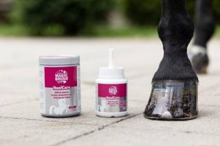 MagicBrush smar do kopyt HoofCare żółty 1000ml 24h