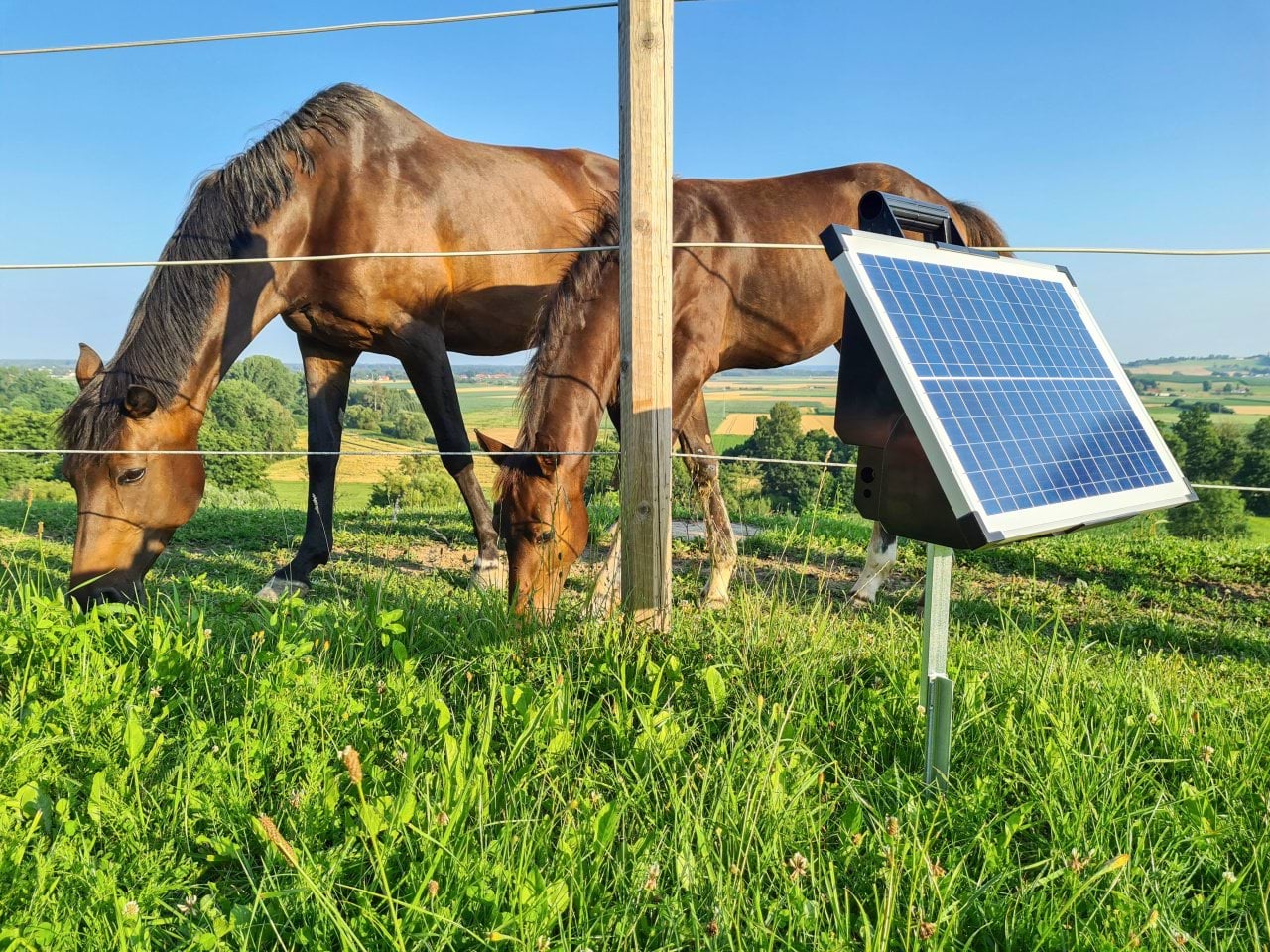 Kerbl elektryzator solarny TITAN S 4200, dla koni, bydła, owiec i kóz, 4,2 J