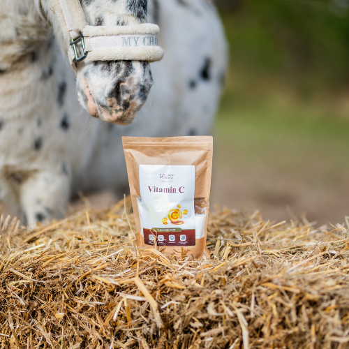 OverHorse Vitamin C 600g 24h
