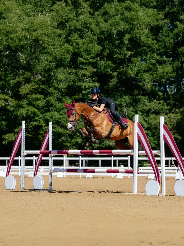 LeMieux czaprak Cotton CC, Burgundy 24h