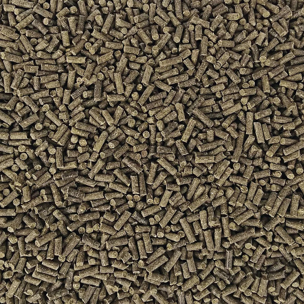 Eggersmann E VET RespirOforte Dla koni z RAO i problemami oddechowymi 1kg 48h