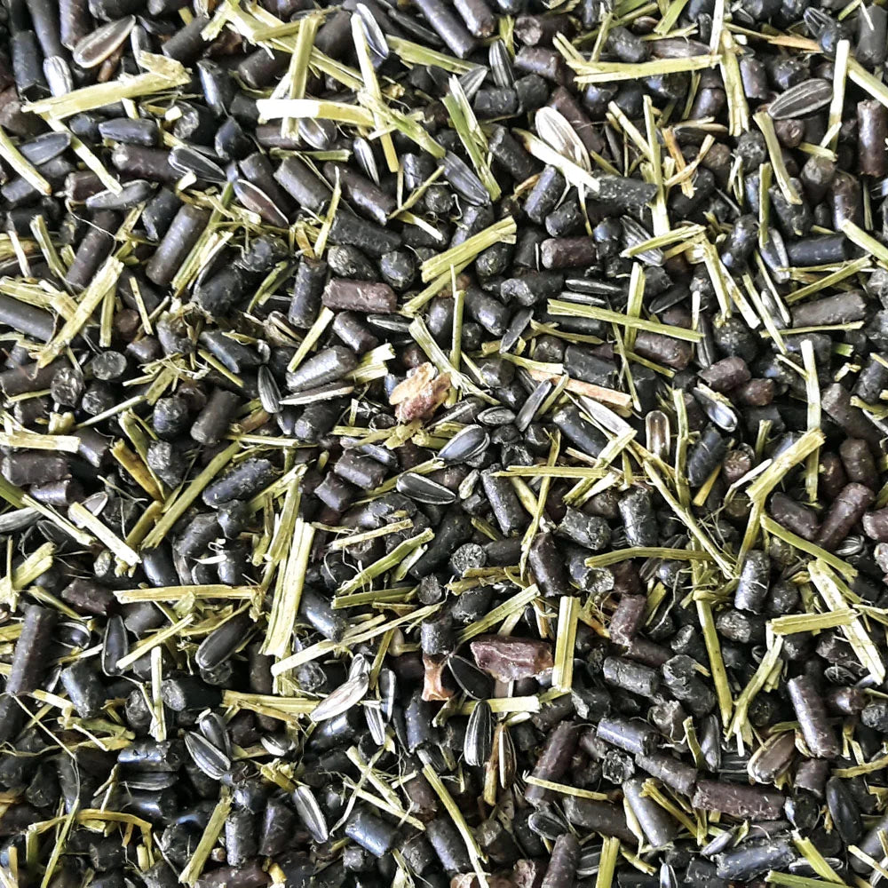 Eggersmann Green Power Getreidefrei bezzbożowa pasza dla koni sportowych 20kg 48h