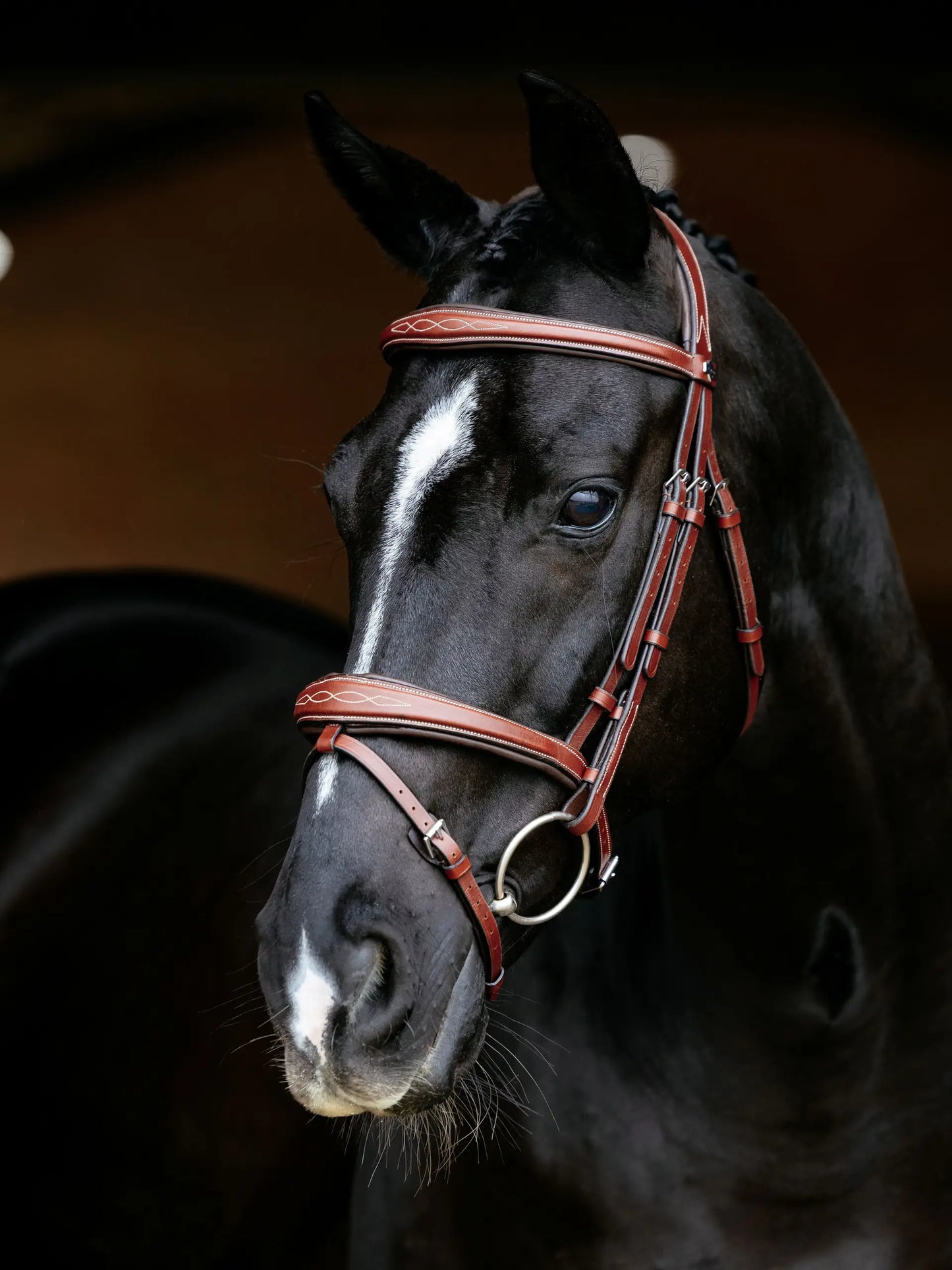 LeMieux ogłowie "Kudos Competition Flash", Chestnut