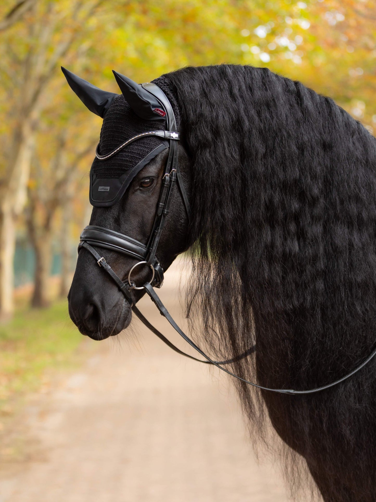 LeMieux nauszniki Essence, Black 24h