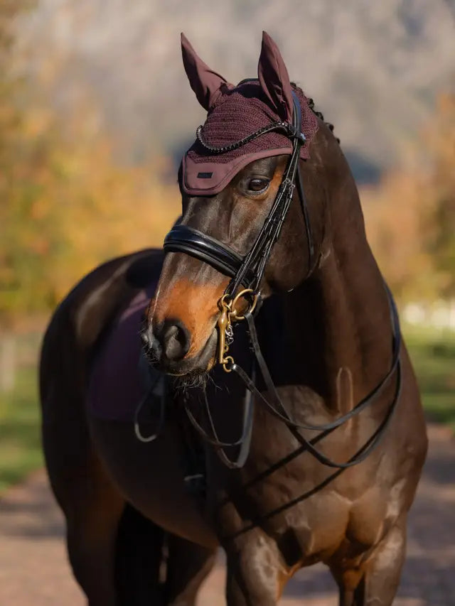 LeMieux nauszniki Essence, Damson 24h