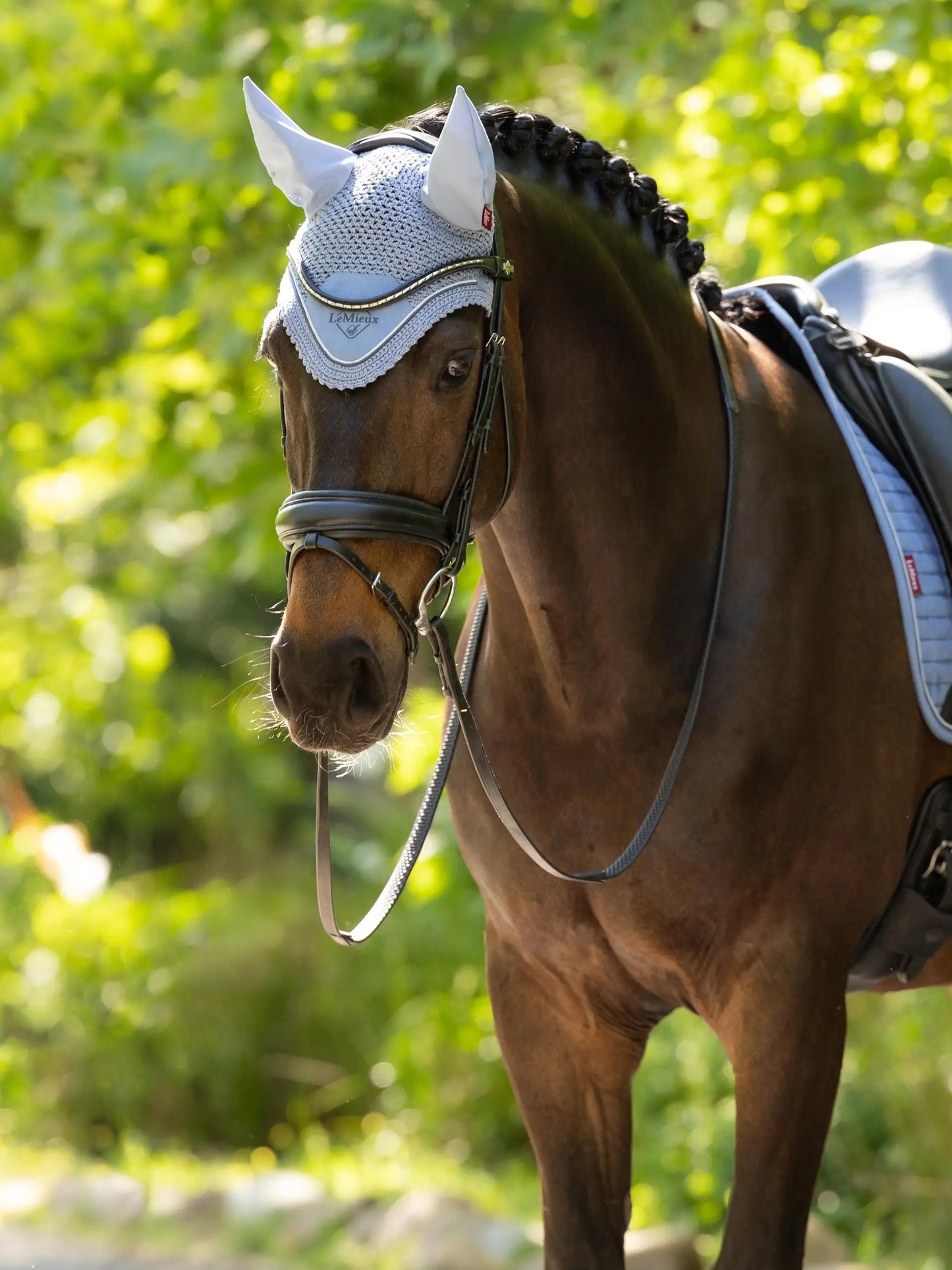 LeMieux nauszniki Classic, Powder Blue 24h