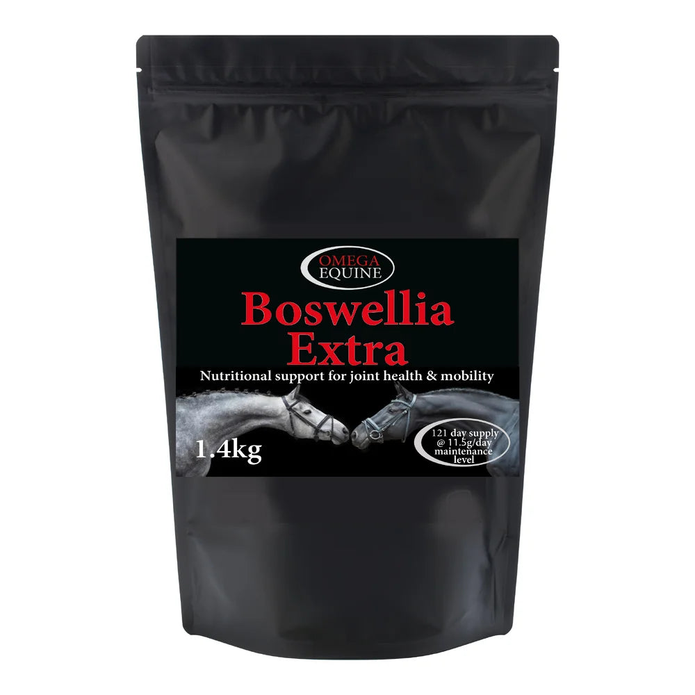 Omega Boswellia Extra - wsparcie układu ruchu 48h