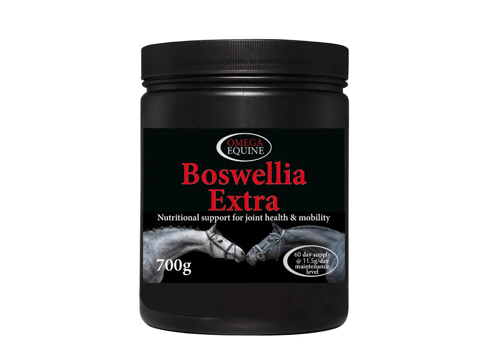 Omega Boswellia Extra - wsparcie układu ruchu 48h
