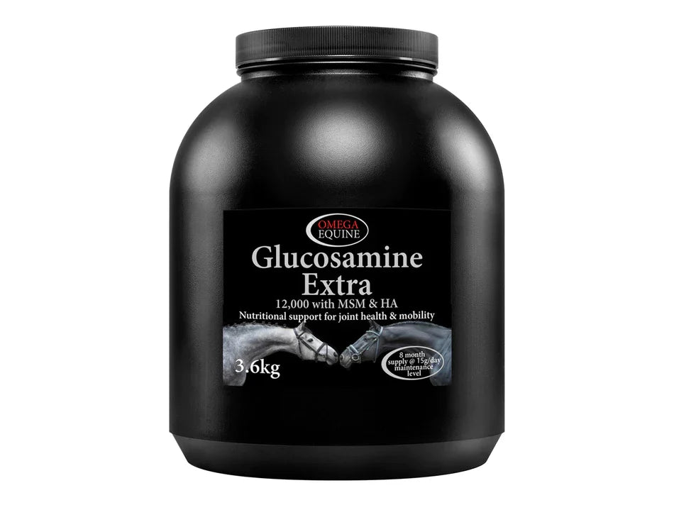 Omega Equine Glucosamine Extra 12000 48h