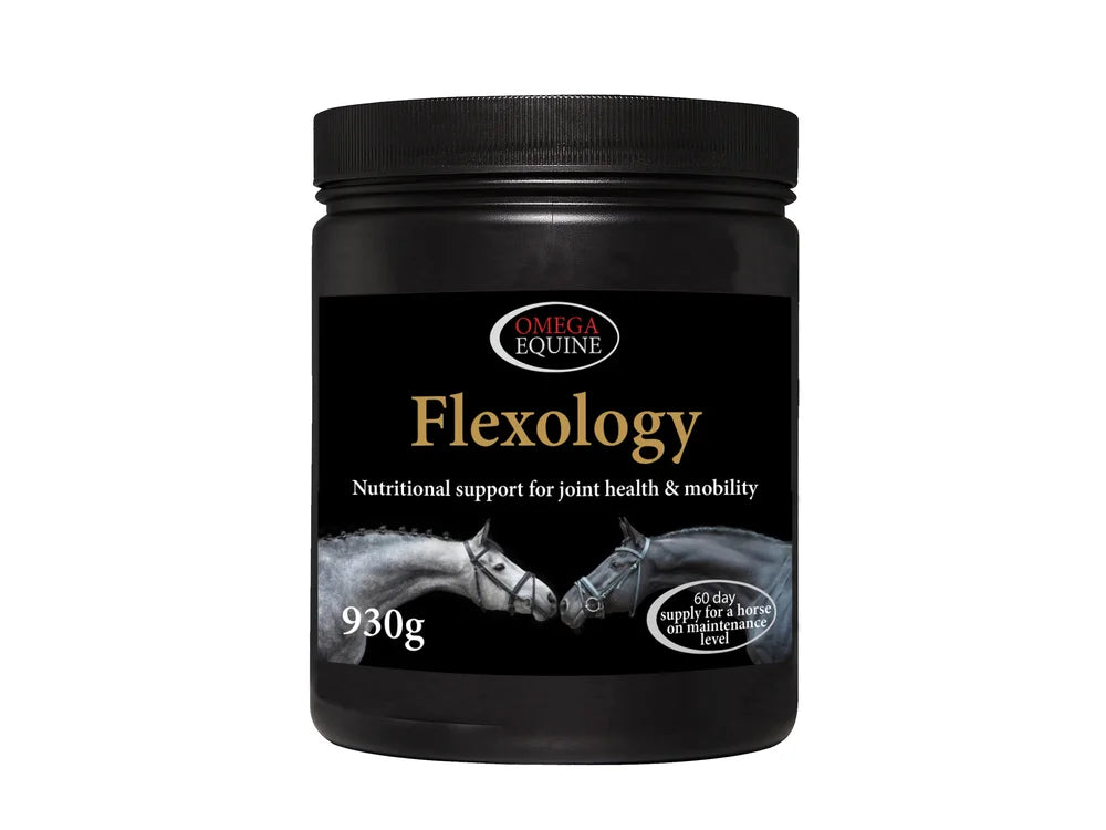 Omega Flexology - wsparcie stawów 930g 48h