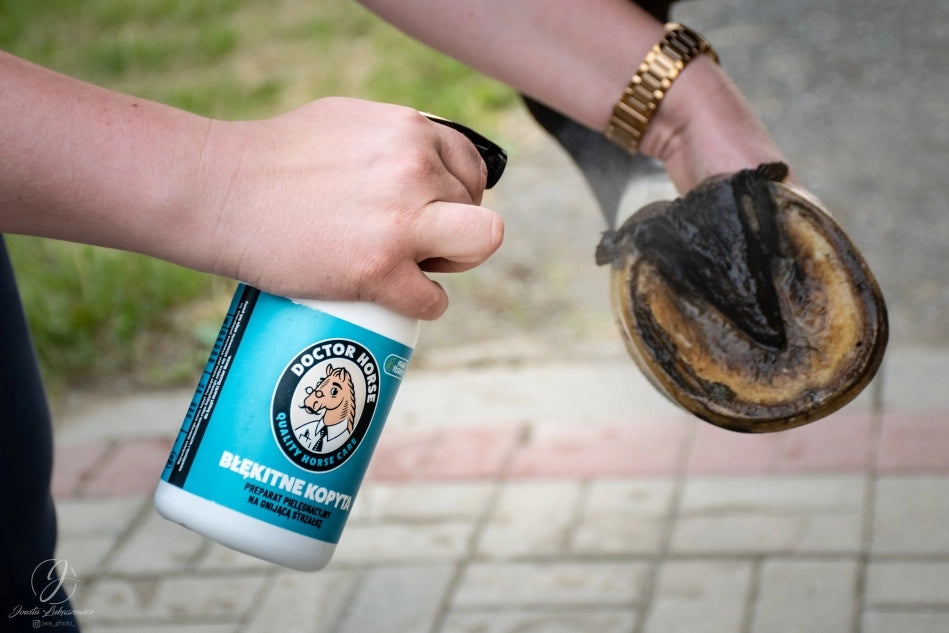 Doctor Horse "Błękitne Kopyta" spray pielęgnacyjny na gnijącą strzałkę 500ml 24h