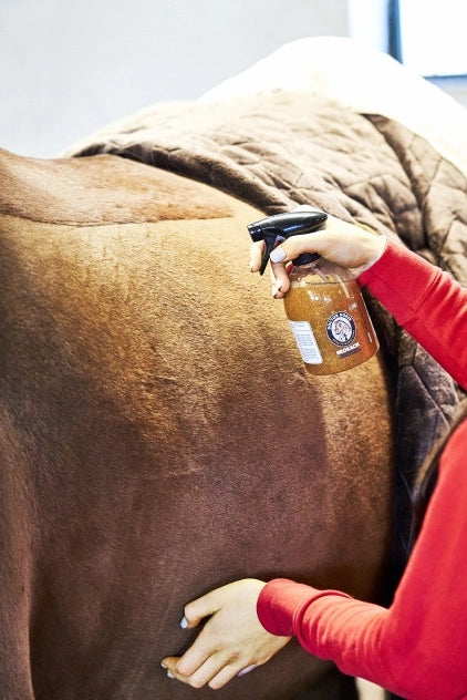 Doctor Horse odżywka brokatowa do grzywy, ogona i sierści 500ml, ciemnozłoty 24h