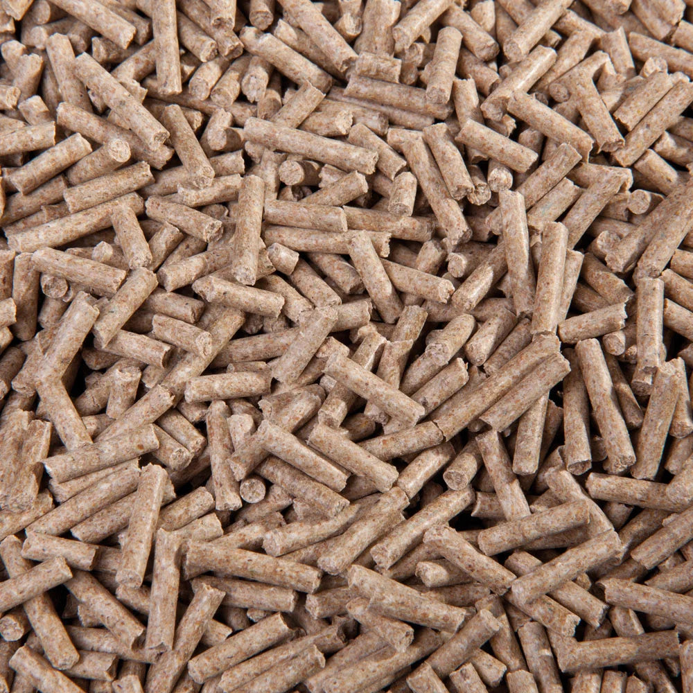 Eggersmann Profi Biotin Plus skoncentrowana biotyna z dodatkiem cynku i selenu 48h