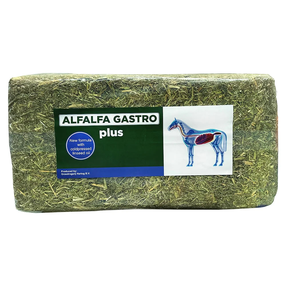 Alfalfa sieczka Gastro PLUS- Lucerna wzbogacona olejem lnianym 18kg 48h