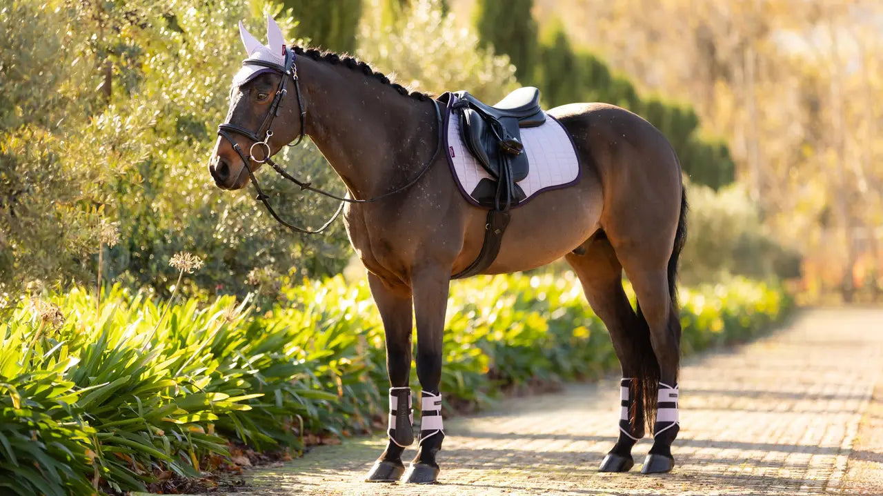 LeMieux czaprak Suede GP, Lilac 24h