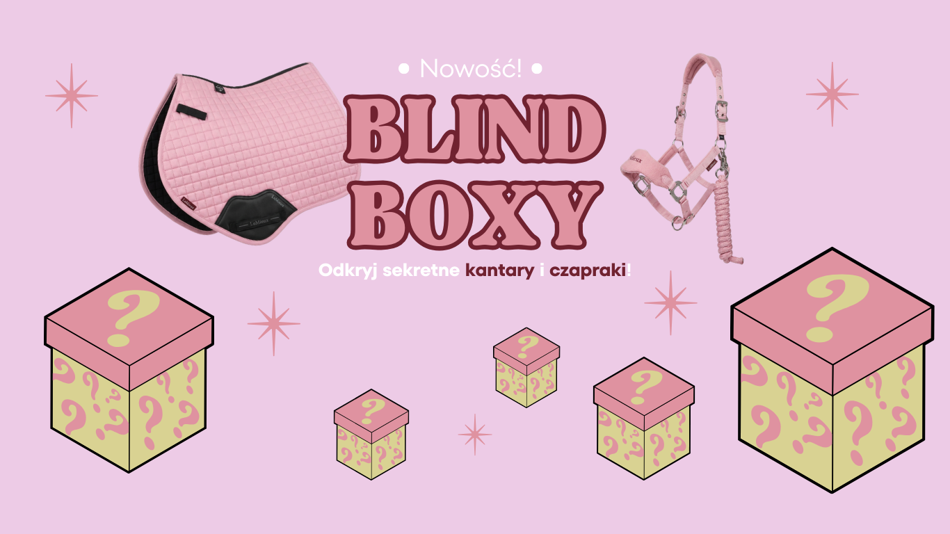 Blind Boxy