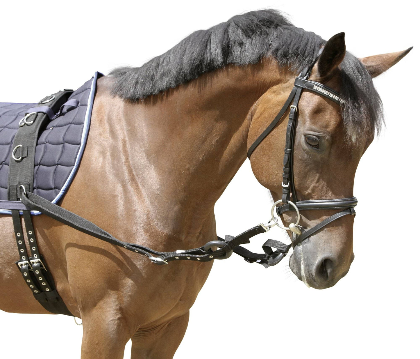 Covalliero wypinacze parciane z gumowymi kółkami, czarny