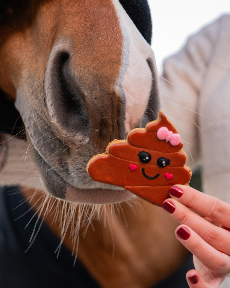 Candy Horse ciasteczko "Walentynki 2026", emoji 24h