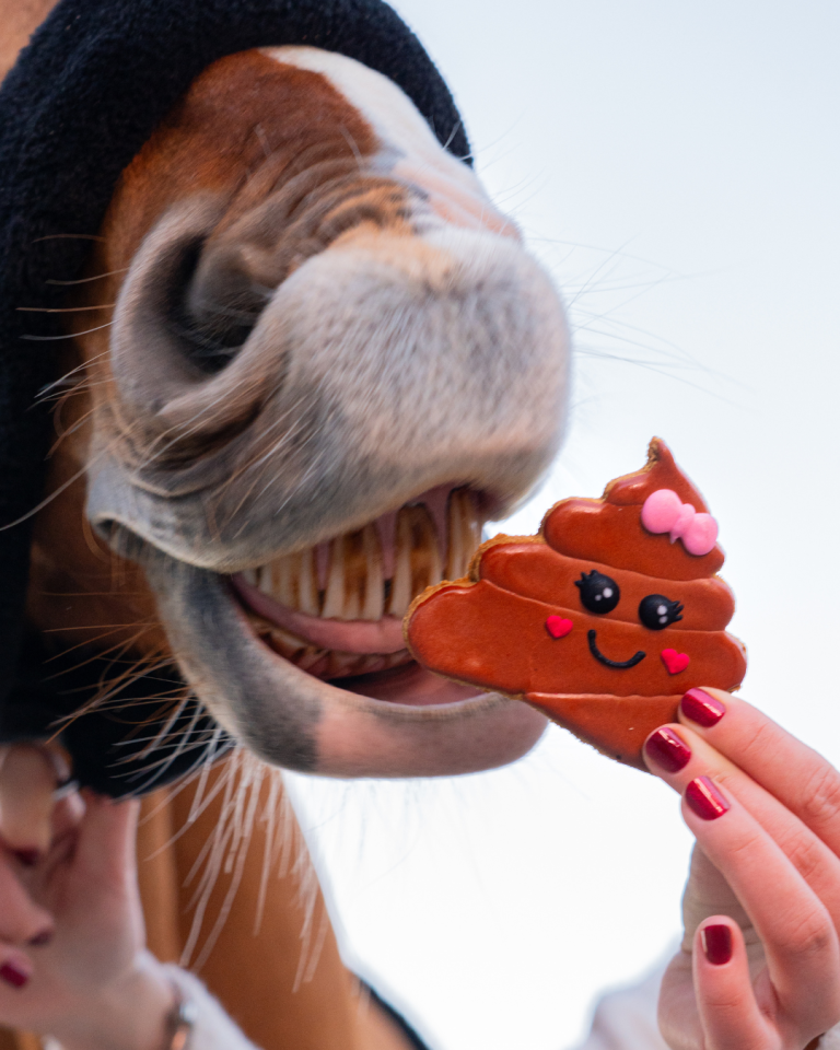 Candy Horse ciasteczko "Walentynki 2026", emoji 24h