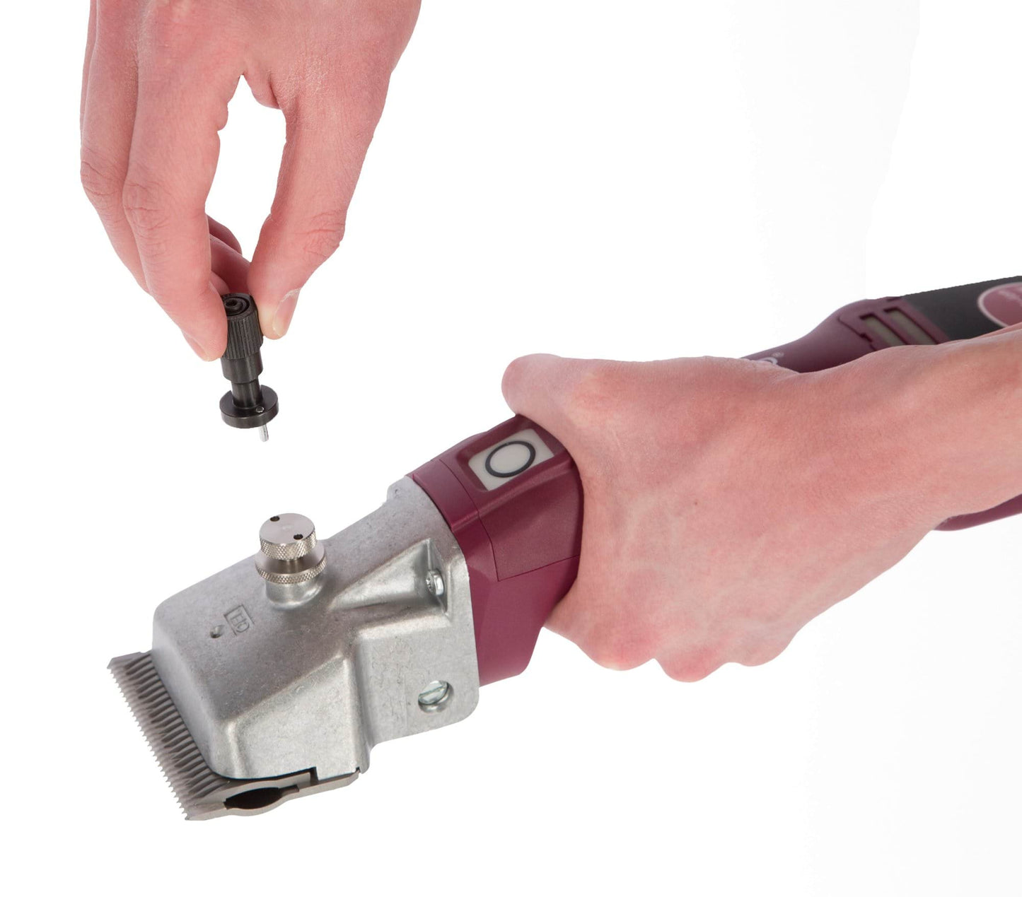 Aesculap narzędzie do precyzyjnej regulacji Torqui do maszynek do strzyżenia Econom/Bonum