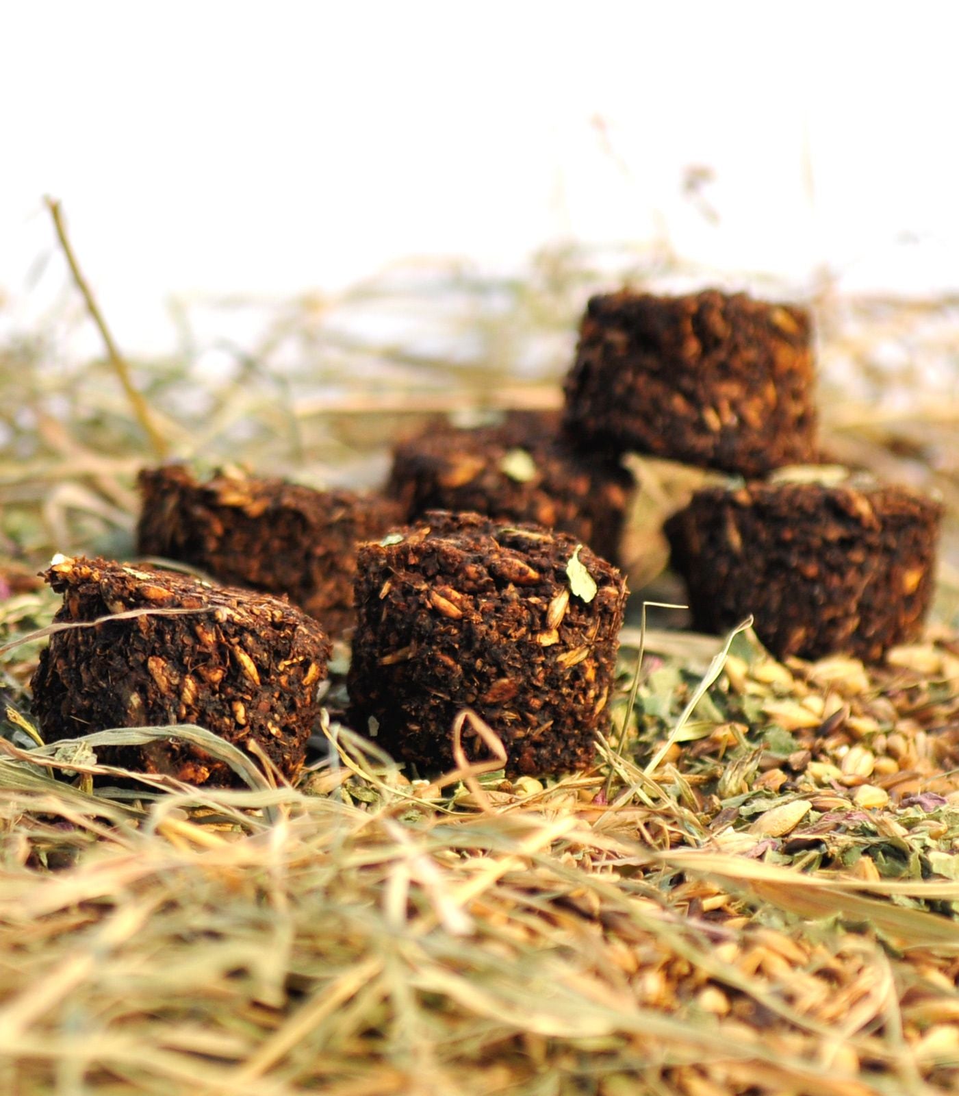 Stud Muffins ciasteczka dla koni 3szt. 24h