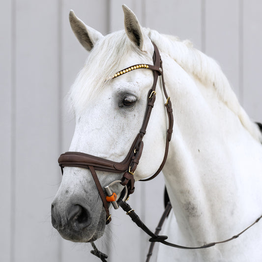 Kavalkade ogłowie anatomiczne z olejowanej skóry "Caliano". brązowe 24h
