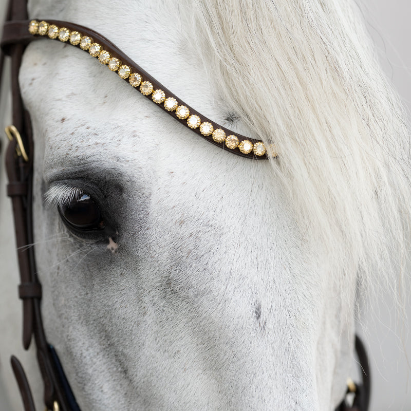 Kavalkade ogłowie anatomiczne z olejowanej skóry "Caliano". brązowe 24h