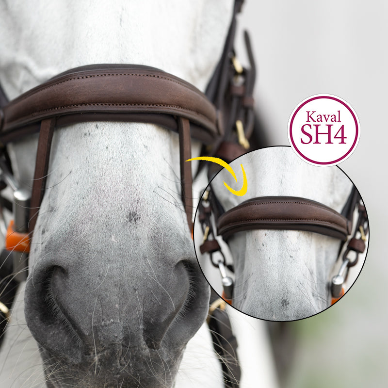 Kavalkade ogłowie anatomiczne z olejowanej skóry "Caliano". brązowe 24h