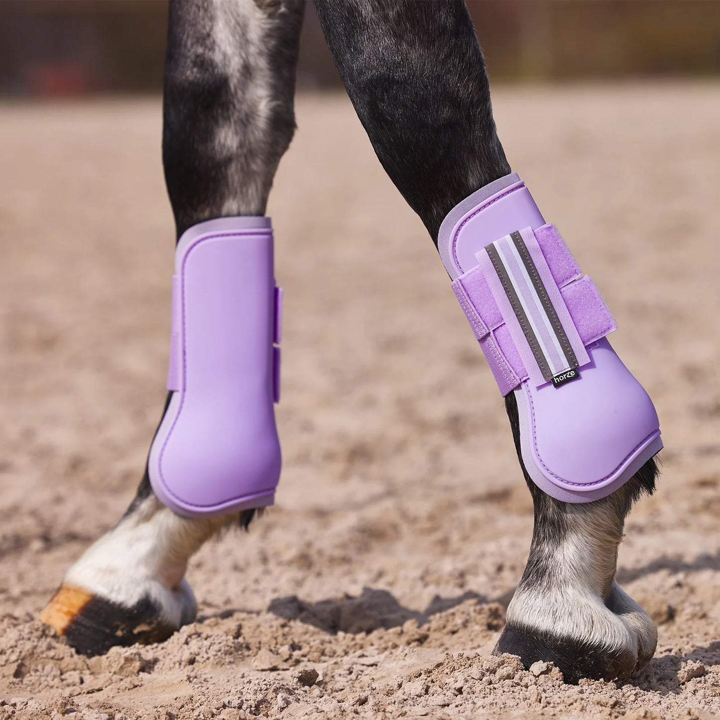 Horze ochraniacze przednie Adepto, Lavender Purple 24h