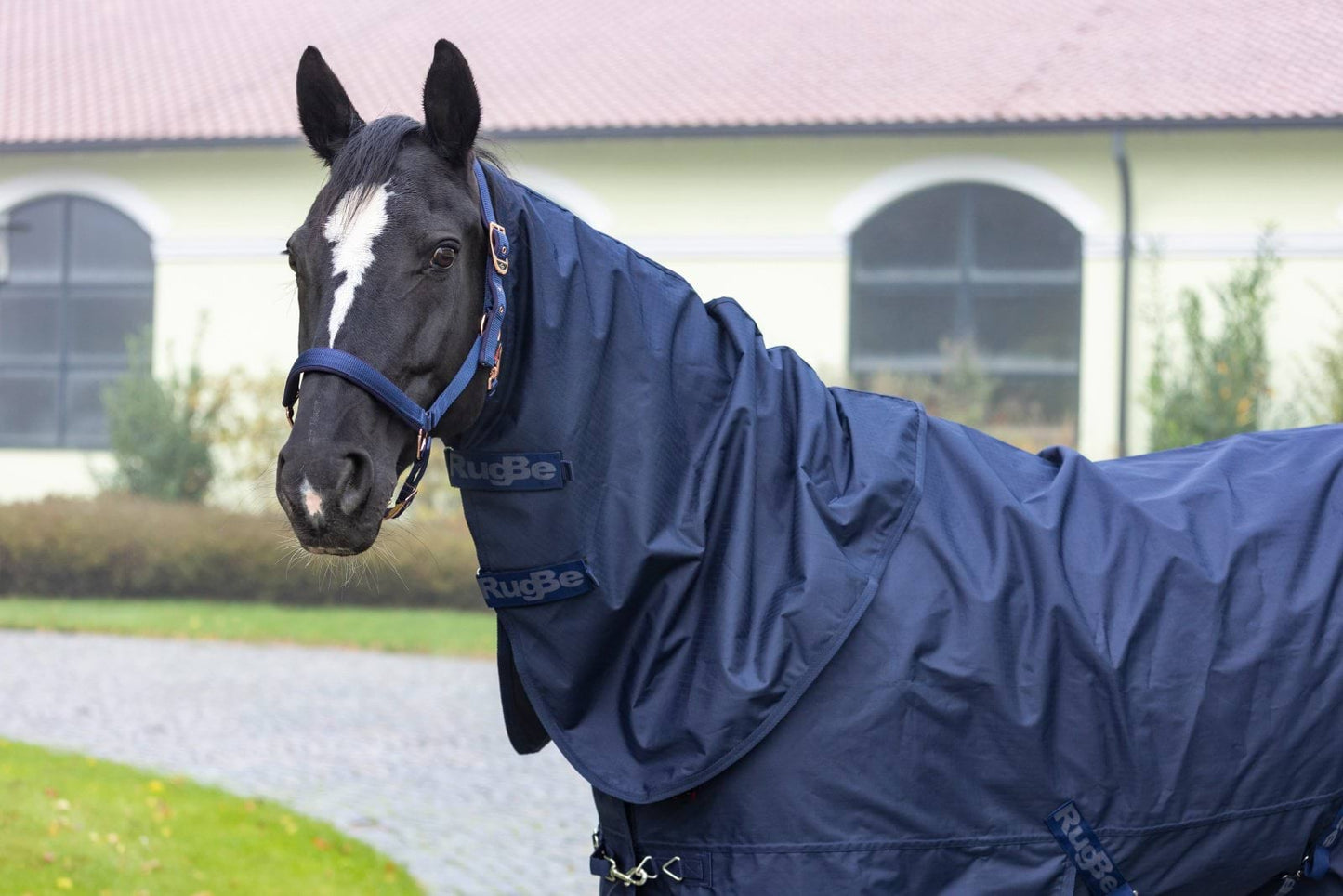 Covalliero kaptur do derki RugBe Zero, granatowy 24h