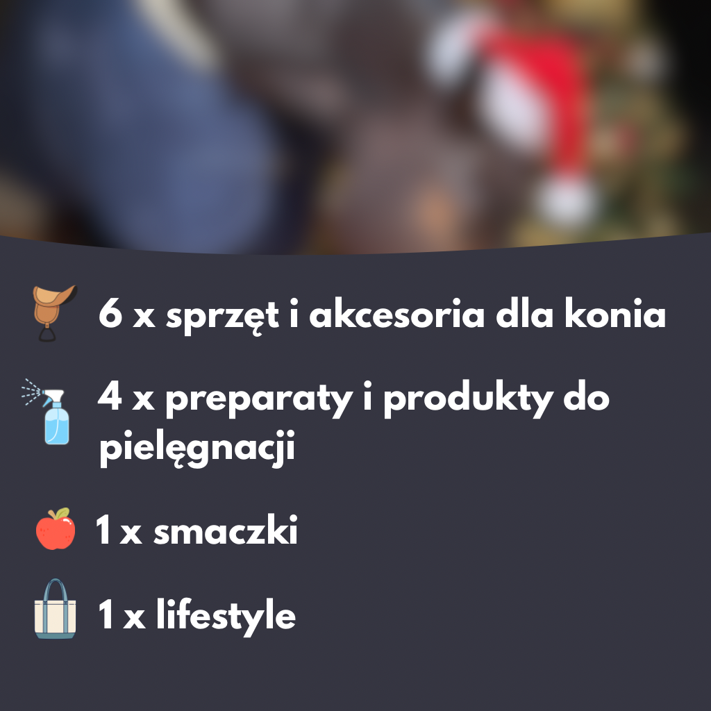 Kalendarz adwentowy Standard, 12 okienek - edycja limitowana 48h