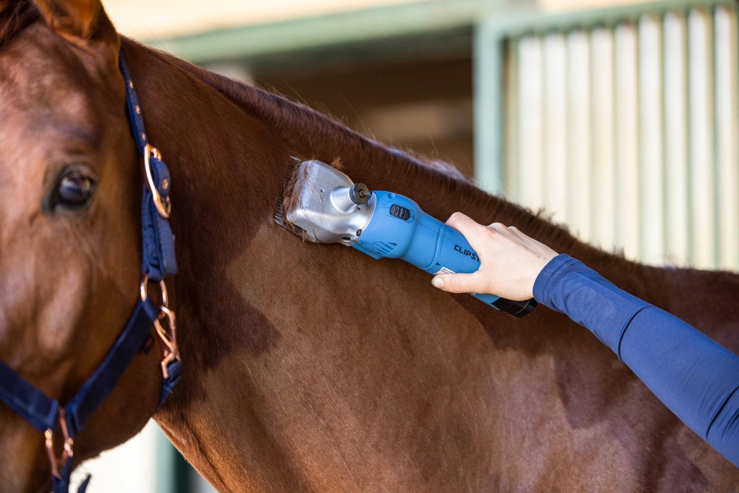 Clipster maszynka do strzyżenia koni FarmClipper Akku2, 2 akumulatory, niebieski