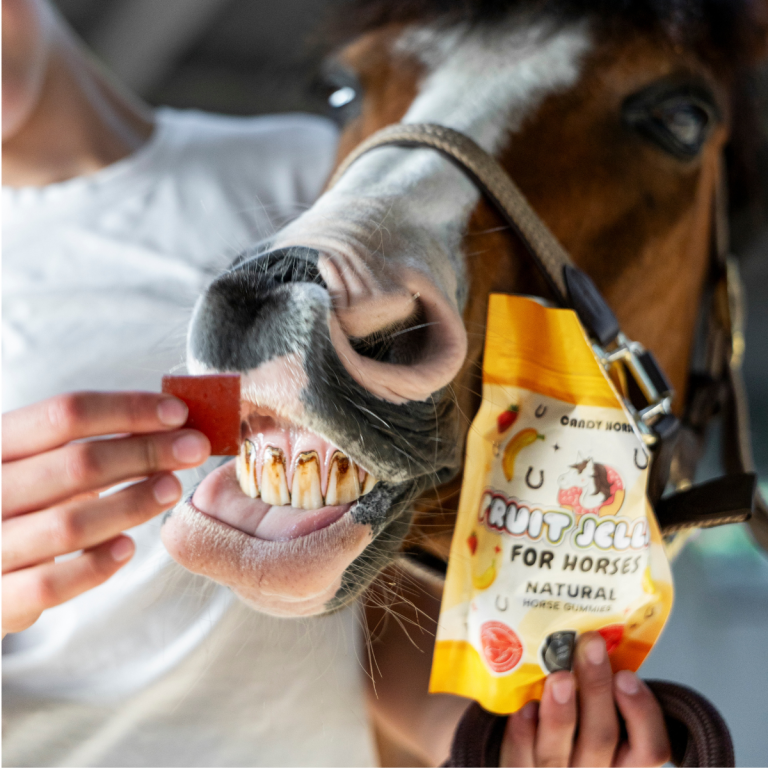 Candy Horse owocowe żelki dla koni, banan+truskawka 400g 24h