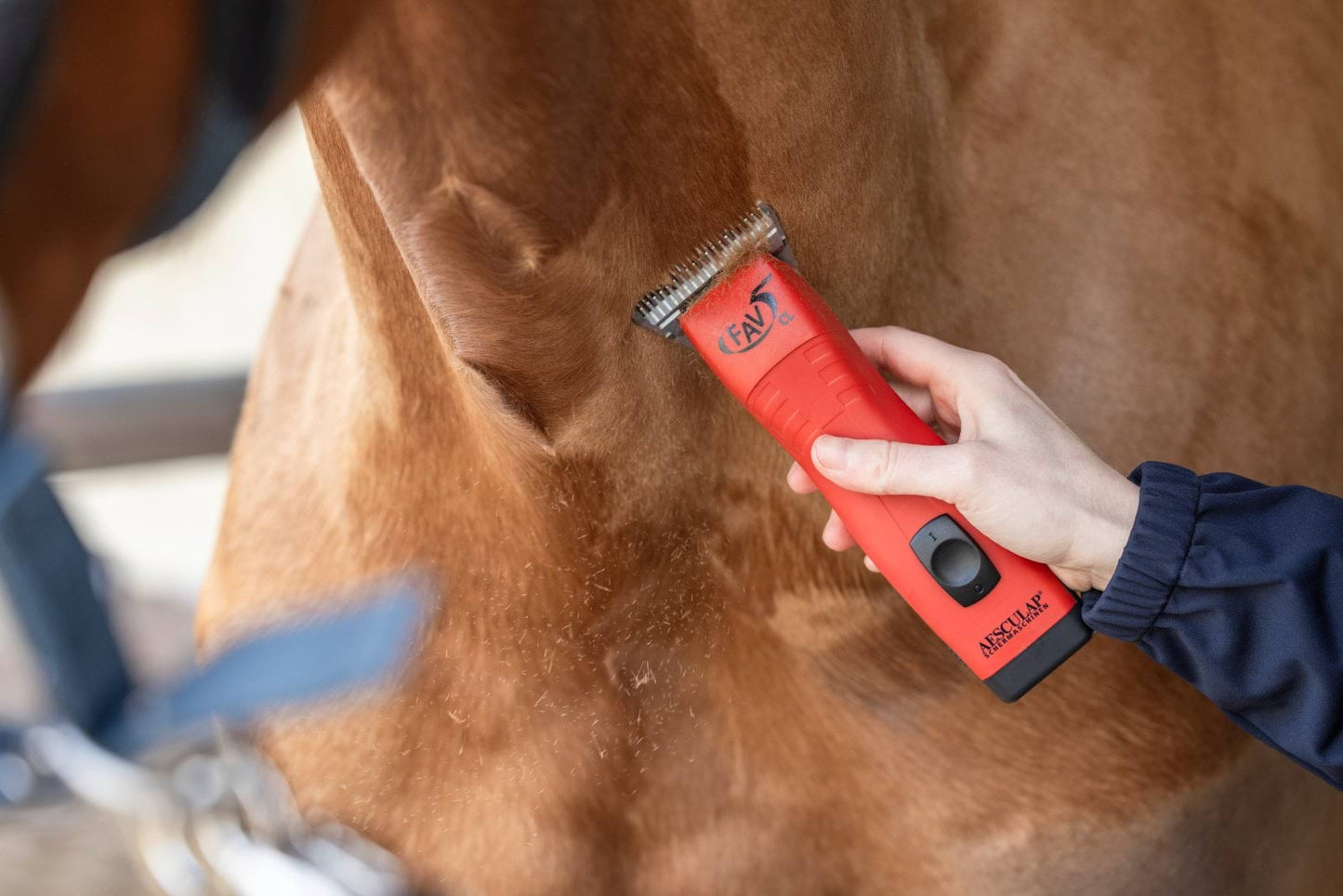 Aesculap maszynka do strzyżenia koni FAV5 CL Horse, 1 akumulator, czerwona